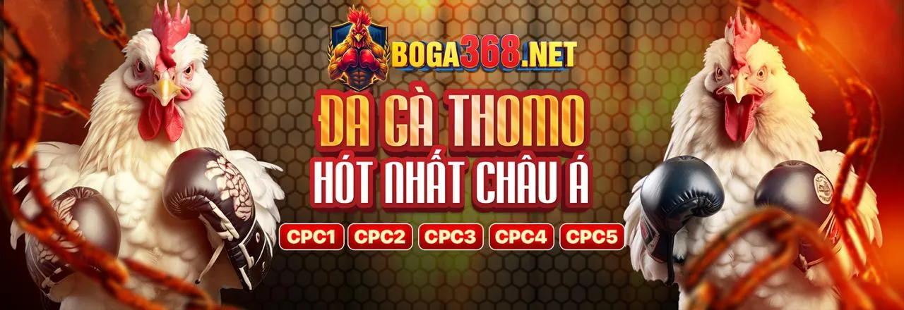 Đa dạng trò chơi cá cược tại 9789bet nhà cái
